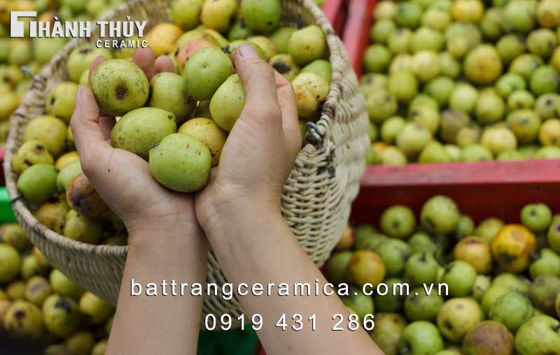 Hướng dẫn cách ngâm Rượu Táo Mèo chuẩn nhất