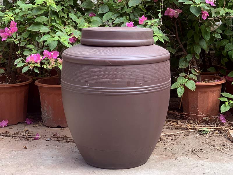 chum-sanh-ngam-ruou-vai-vuong-50-lit-2