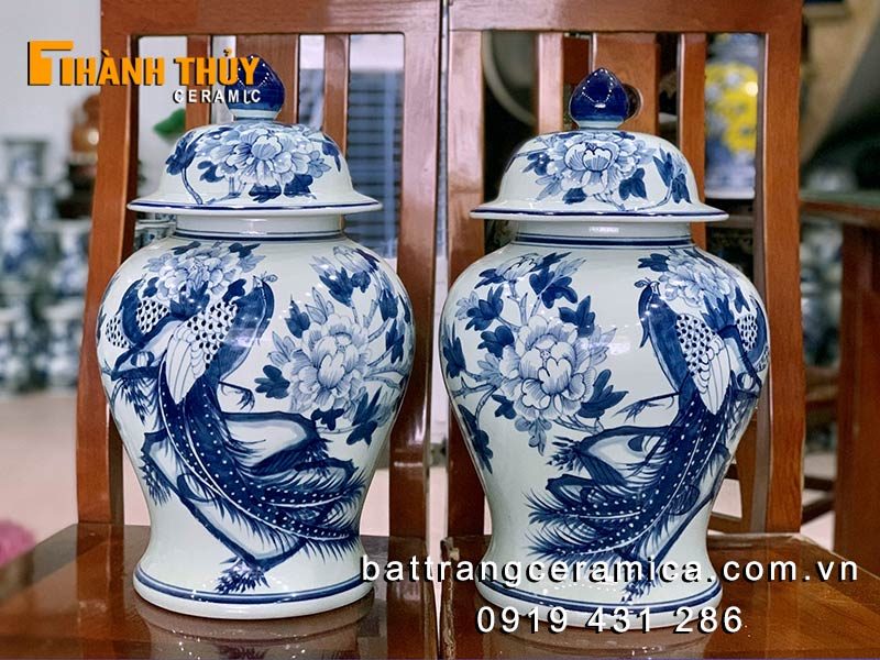 choe-phong-thuy-chim-tri-mau-don-10-lit