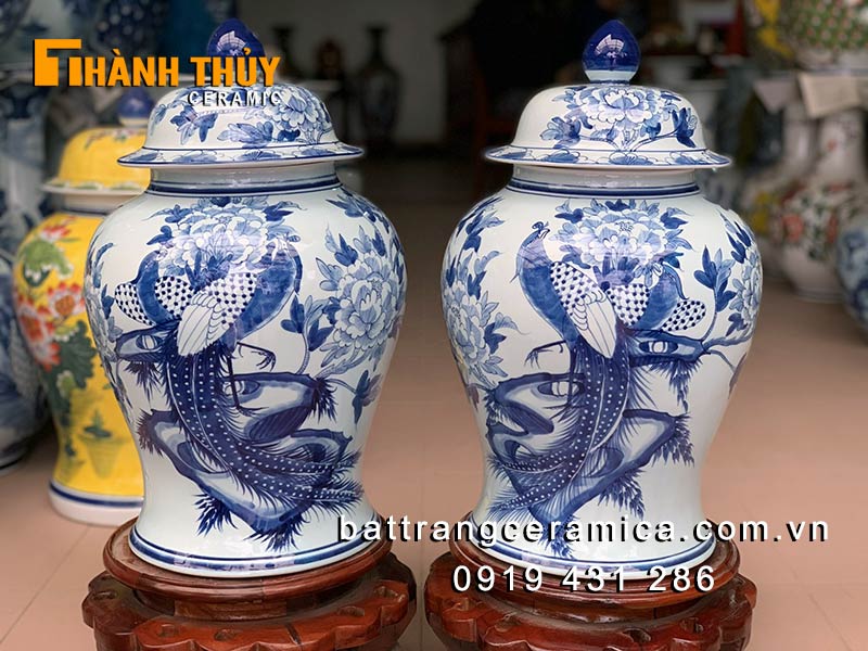 Chóe phong thủy chim trĩ mẫu đơn 15 lít